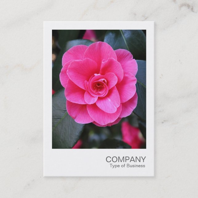 Cartão De Visita Instant Photo 067 - Pink Camellia (Frente)