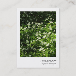 Cartão De Visita Instant Photo 071 - Wild Garlic (Foto instantânea