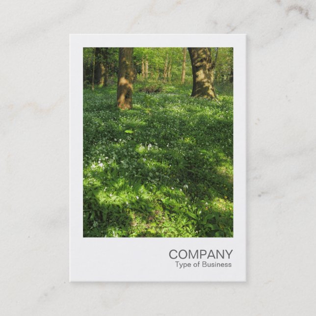 Cartão De Visita Instant Photo 073 - Primavera no bosque (Frente)