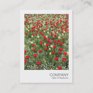 Cartão De Visita Instant Photo 085 - Bed of Tulips (Foto instantâne