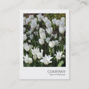 Cartão De Visita Instant Photo 090 - White Tulips (Foto instantânea