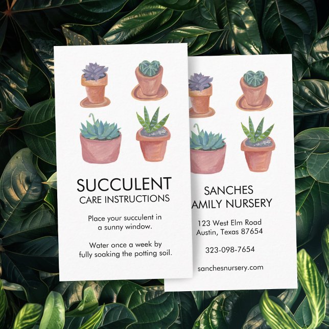Cartão De Visita Instruções para o tratamento de plantas Cactos Suc (Plant Care Instructions Houseplant Succulent Cacti Business Card
)