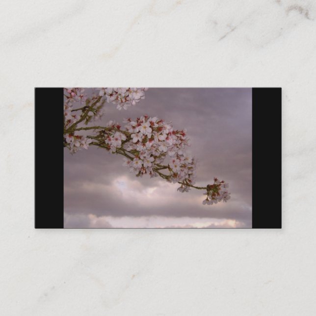 Cartão de visita japonês (Frente)