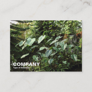 Cartão De Visita Jardins Botânicos