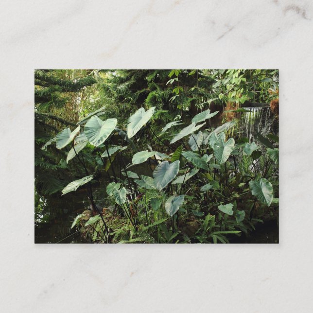 Cartão De Visita Jardins Botânicos (Frente)