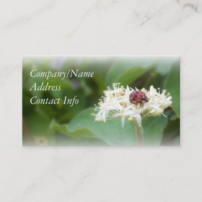 Cartão De Visita Joaninha (Frente)