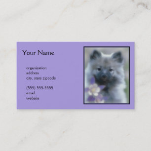 Cartão De Visita Keeshond e Columbina - Fotografia de Cachorro