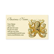 Kraken Vintage, Polvo Gamochonia, Ernst Haeckel