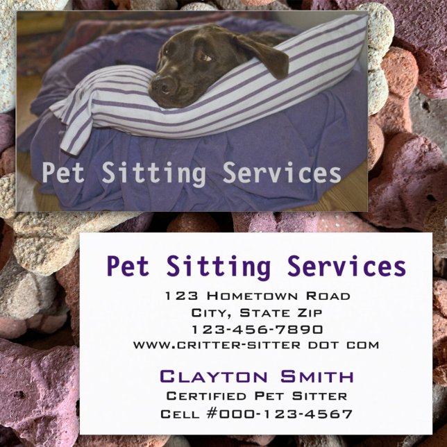 Cartão De Visita Laboratório de Chocolate Deitado no Travesseiro Pu (Criador carregado)