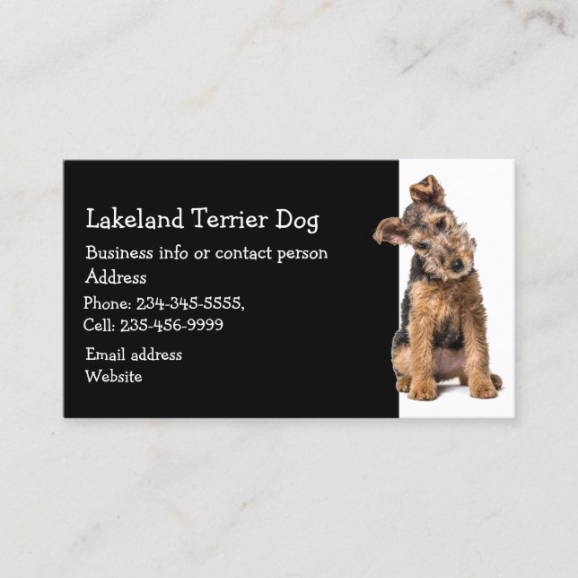 Cartão De Visita Lakeland Terrier Dog Breeder Pet Sitter (Frente)