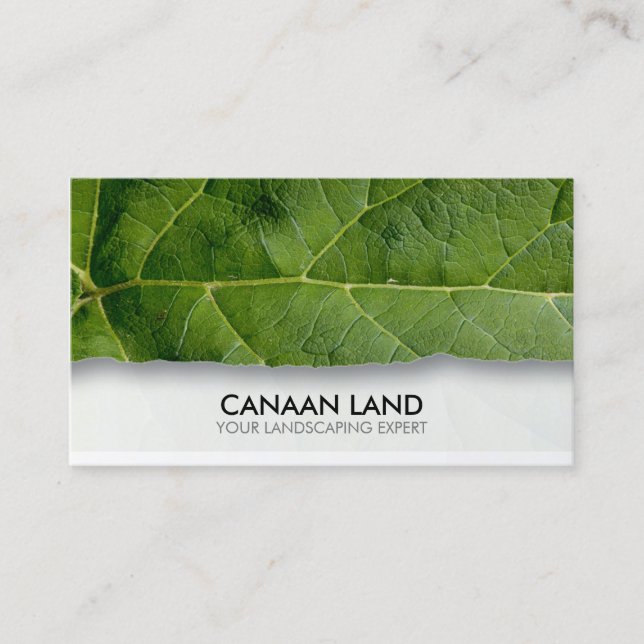 Cartão De Visita Landscaper Gardener (Frente)