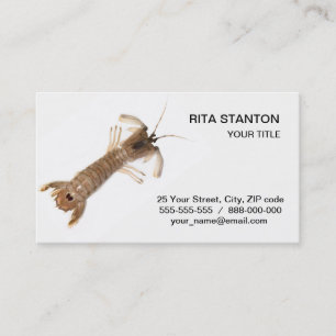 Cartão De Visita Langoustine