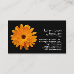 Cartão De Visita Laranja Marigold - Preto