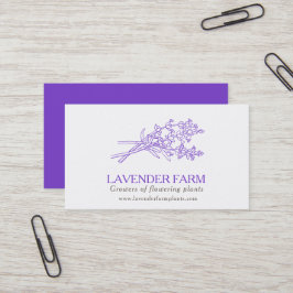 cartão de visita Lavanda de fornecedores de fazend
