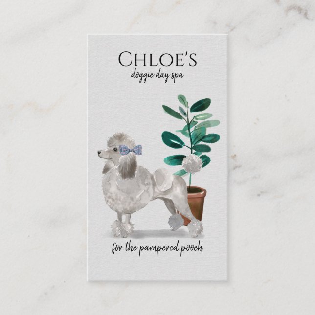 Cartão De Visita Lembrete de negócios e compromisso do grupo Spa no (Frente)