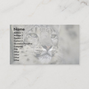 Cartão De Visita Leopardo de Neve