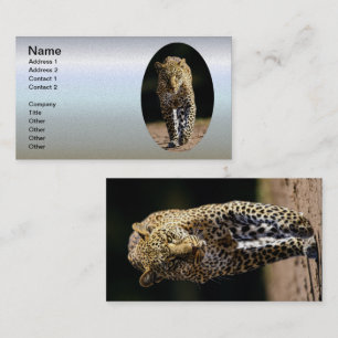 Cartão De Visita Leopardo na Prowl