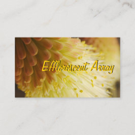 Cartão De Visita Lily de Tocha Radiante