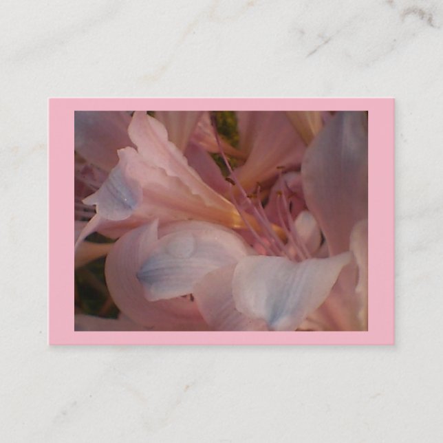 Cartão De Visita Lily Rosa (Frente)