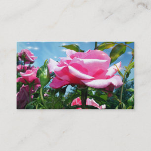 Cartão De Visita Lindas flores de rosa cor-de-rosa no perfil do céu