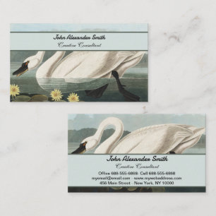 Cartão De Visita Lírio d'Água Cisne Branco Audubon Vintage Arte