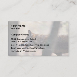 Cartão De Visita Lobo vermelho