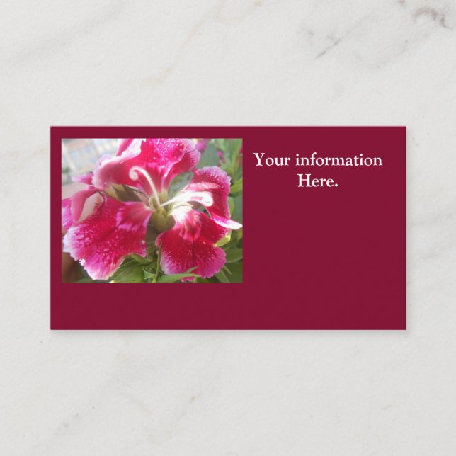 Cartão De Visita Lodovica (Frente)