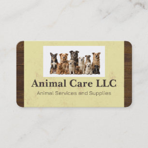 Cartão De Visita Loja de Animais Serviços para Animais