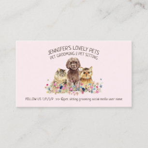 Cartão De Visita Loja de Pet Sitter de Higienização de Gatos Cachor