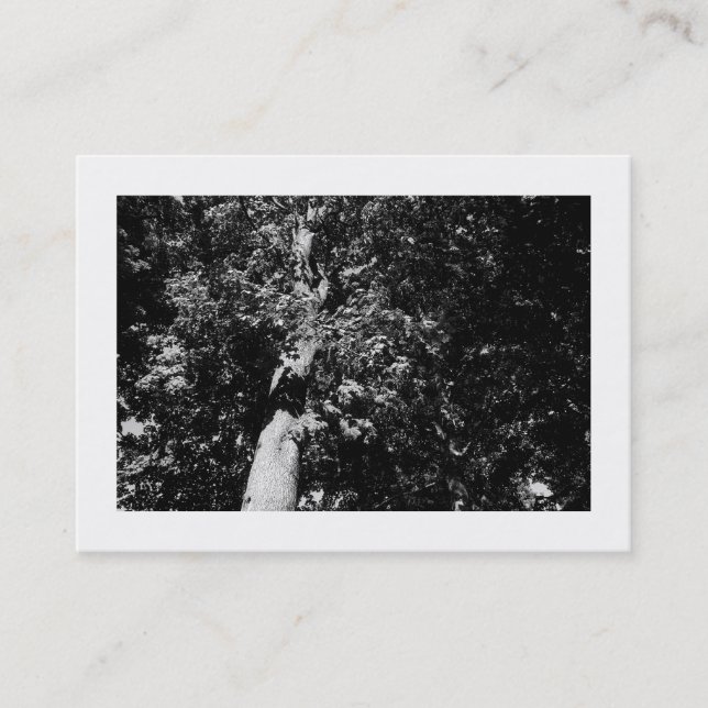Cartão De Visita London Plane Tree B&W, Mini Foto (Frente)