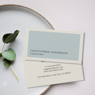 Cartão De Visita Luz elegante profissional - consultante do cinza