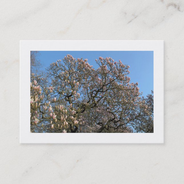 Cartão De Visita Magnolia Trees em Flor (Bordada) (Frente)