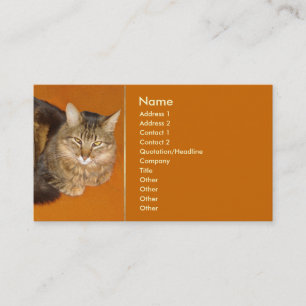 Cartão De Visita Maine Coon Cat