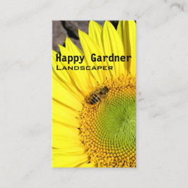 Cartão De Visita Manutenção do Lançamento Girassol e Beterraba Foto