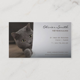 Cartão De Visita Mapa de visita gato, de veterinário