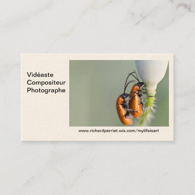 Cartão De Visita Mapa de visita R.P (Frente)