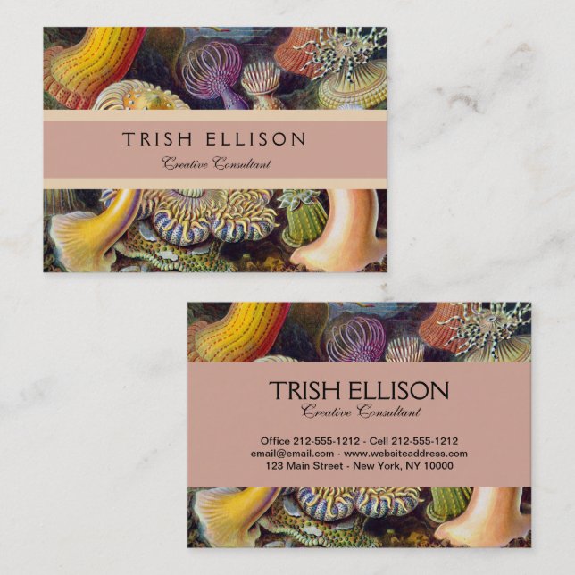 Cartão De Visita Mar Anêmona Natureza Científica Oceânica (Frente/Verso)