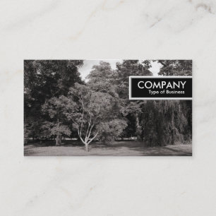Cartão De Visita Marca de borda - Árvores, Parque de Bute, Cardiff 