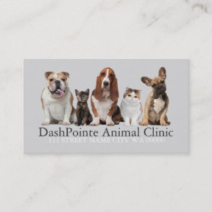 Cartão De Visita Medicamento veterinário Pet Animal Clinic Sheldon