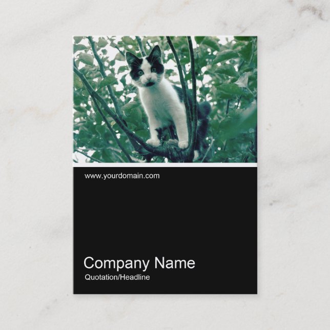 Cartão De Visita Meia e meia foto 0249 - Superfluity of Naughtiness (Frente)