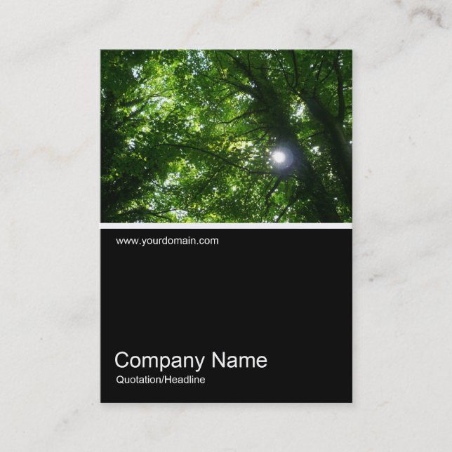 Cartão De Visita Meia e meia foto 027 - Sol nas árvores (Frente)