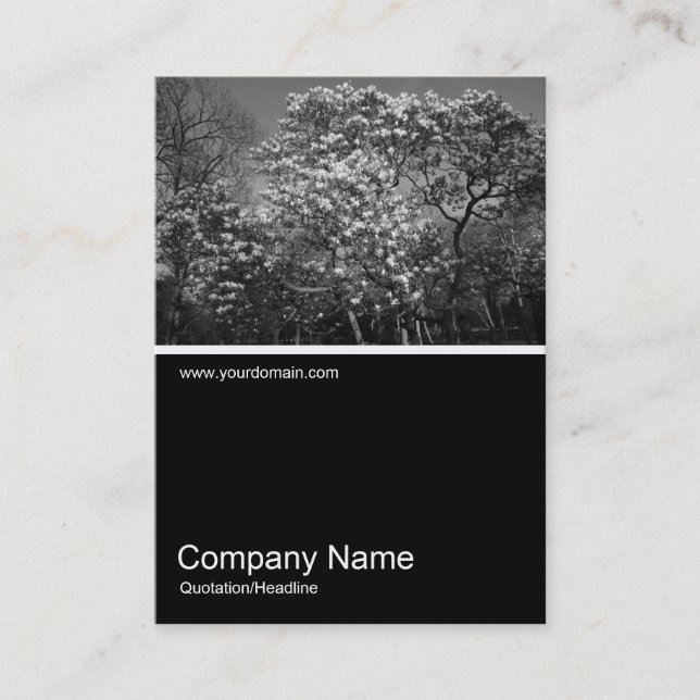 Cartão De Visita Meia e meia foto 0314 - Magnolia Tree in Blossom (Frente)