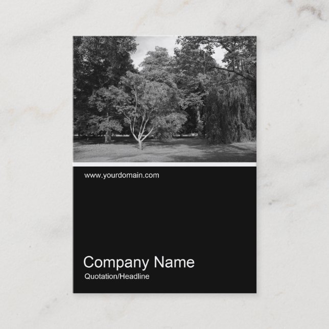 Cartão De Visita Meia e meia foto 0330 - Árvores no Verão (Frente)