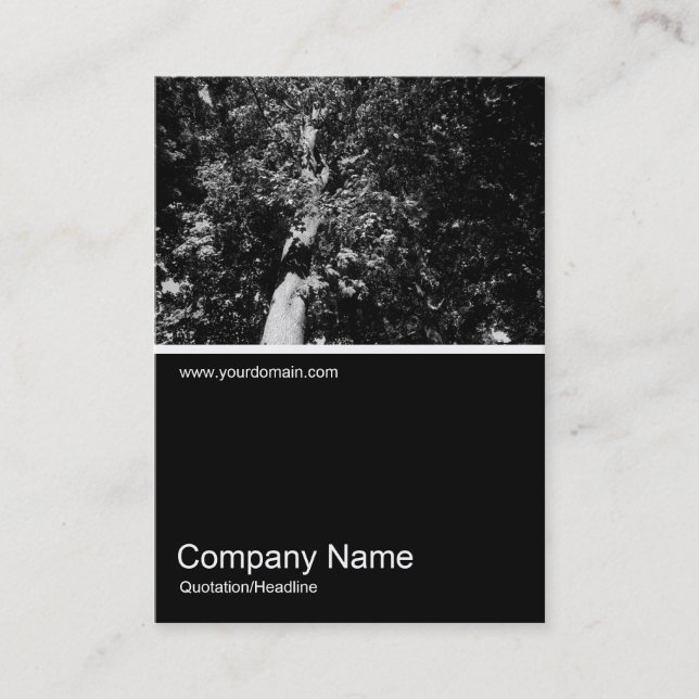 Cartão De Visita Meia Foto 0107 - London Plane Tree (Frente)