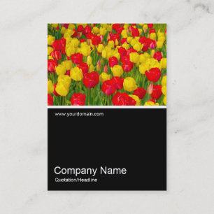 Cartão De Visita Meia &Foto 0152 - Tulips
