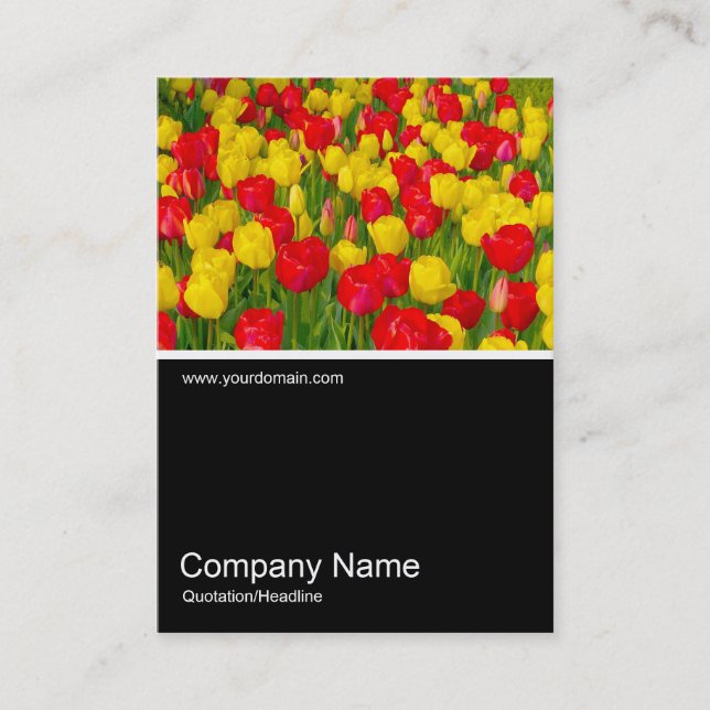 Cartão De Visita Meia &Foto 0152 - Tulips (Frente)