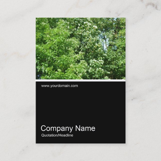 Cartão De Visita Meia &Foto 0160 - Verão Breeze (Frente)