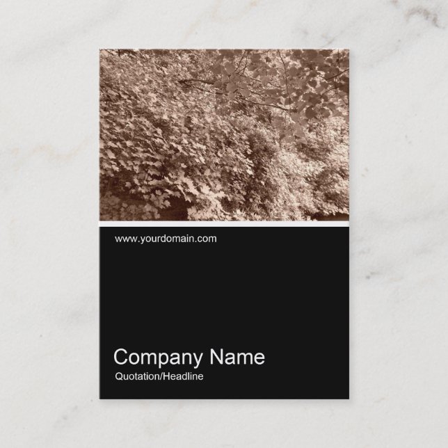 Cartão De Visita Meia &Foto 018 - Folhas (Frente)