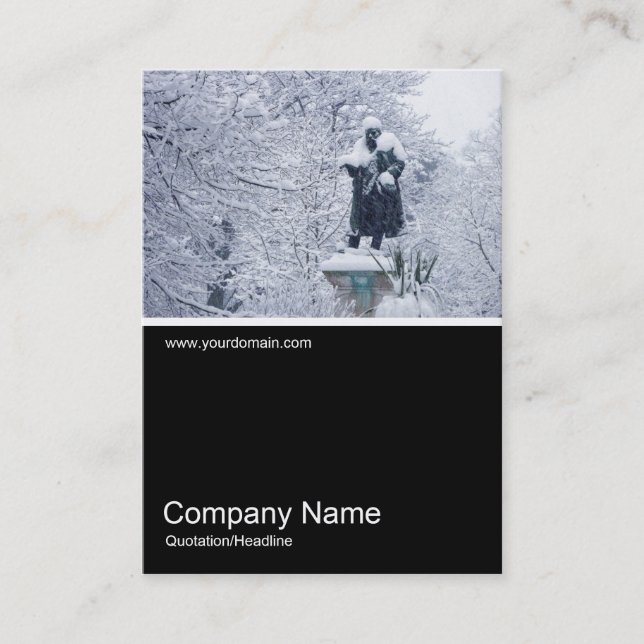 Cartão De Visita Meia &Foto 0193 - Neve no Parque (Frente)
