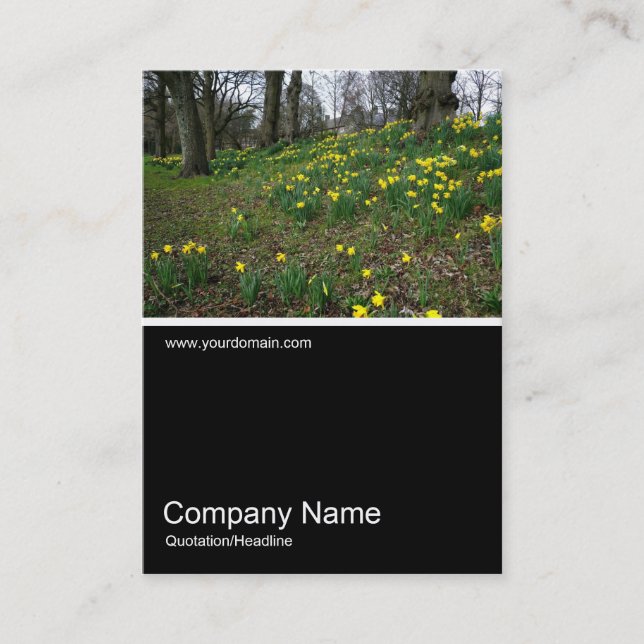 Cartão De Visita Meia &Foto 021 - Daffodils (Frente)